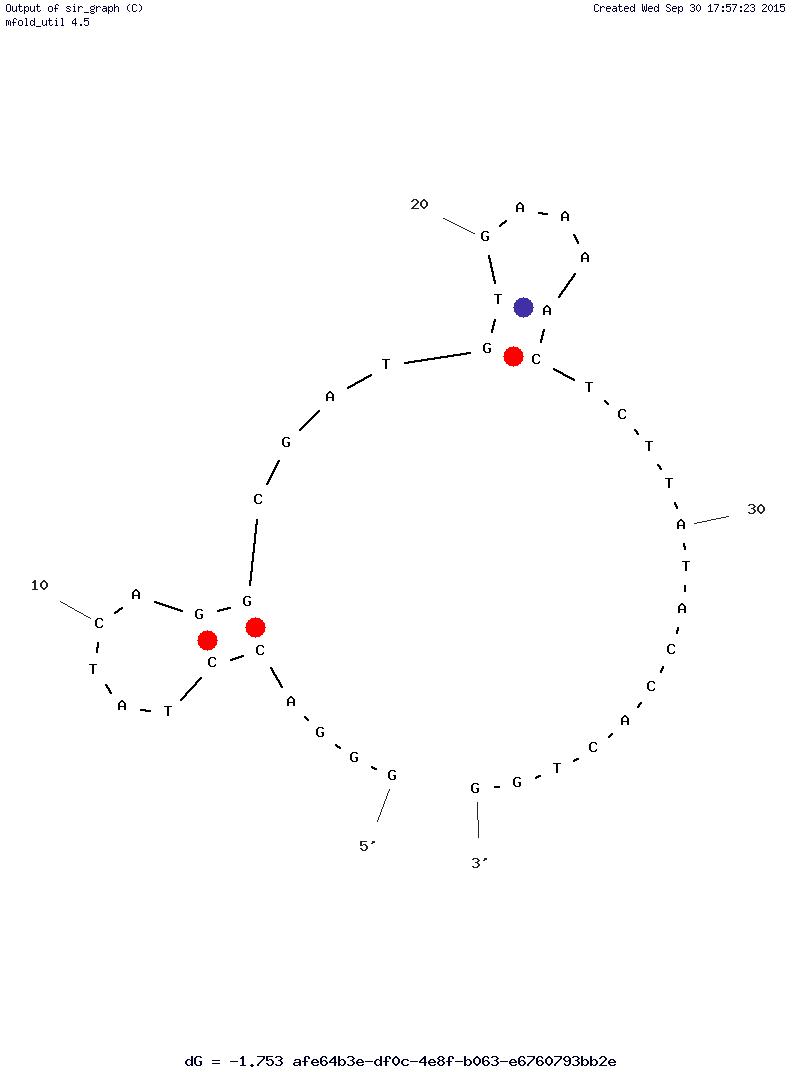 Z23 Anti-Vesicular Stomatitis Virus