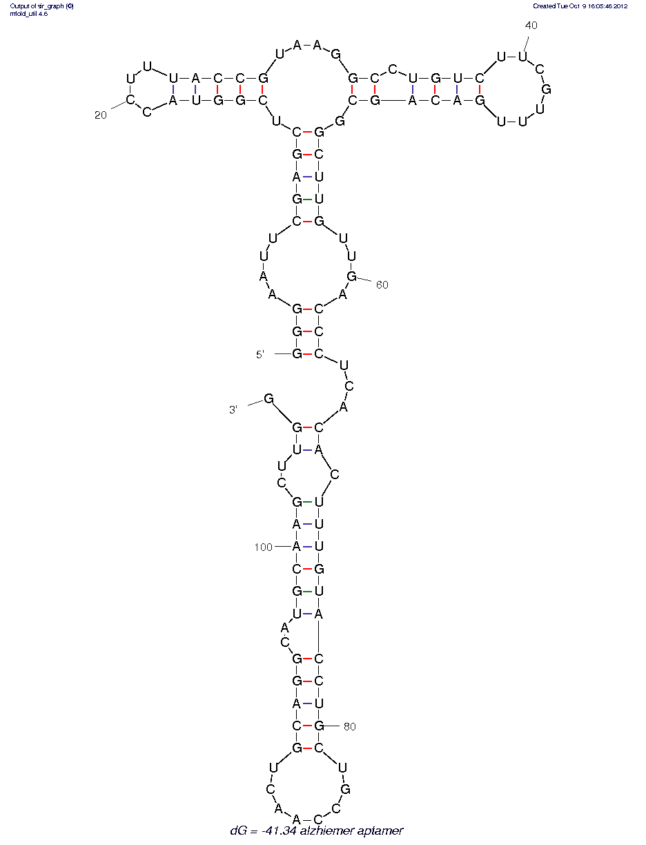 Amyloid Peptide BetaA4(1ƒ?? 40) (B55)