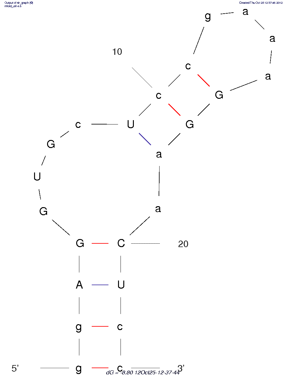 Human Immunoglobulin G (IgG) (Apt 8-2)