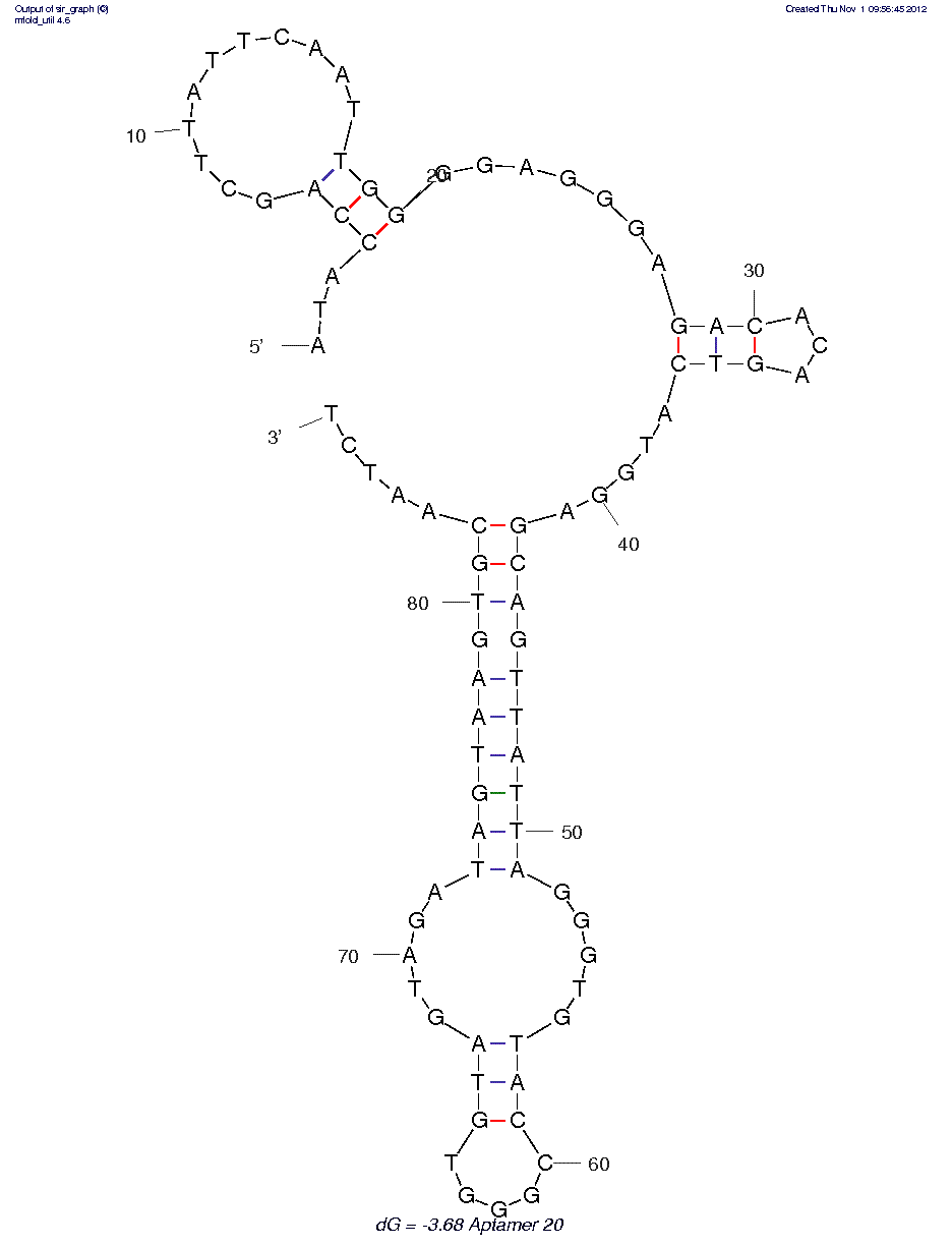 HPV-HF cell line (20)