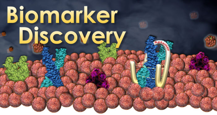 Biomarker Discovery