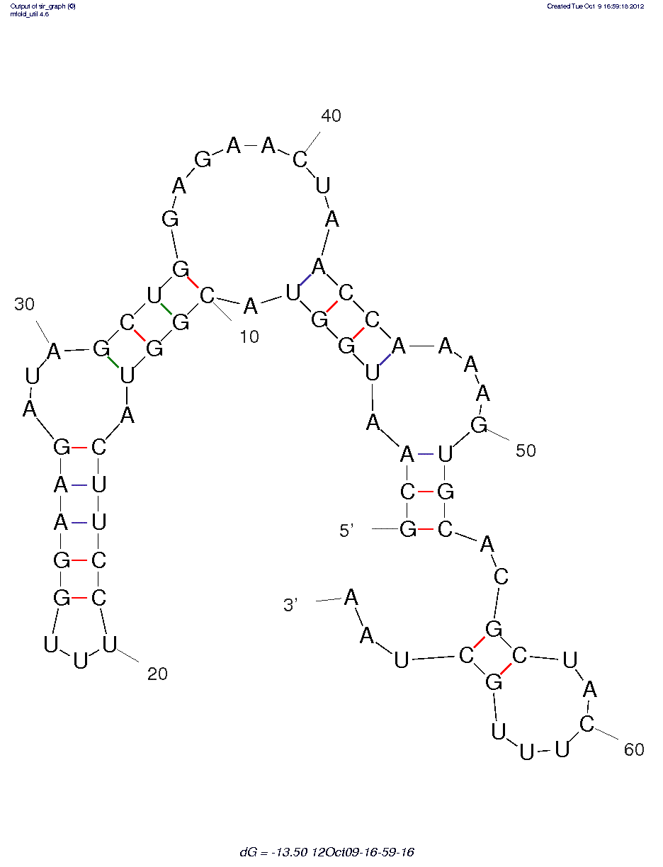 Bovine Thrombin (T7 05 RNA)