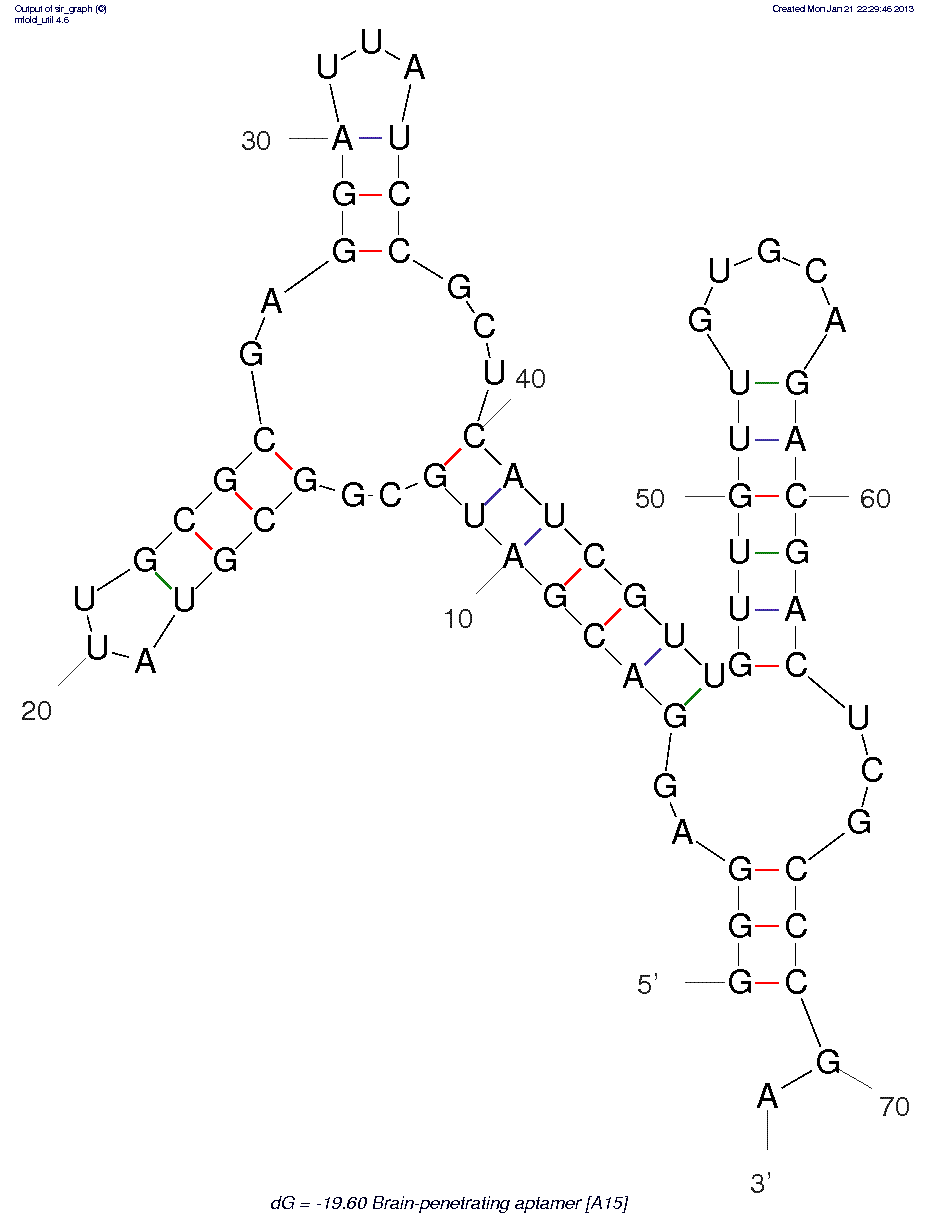 Brain Penetrating Aptamer (A15)