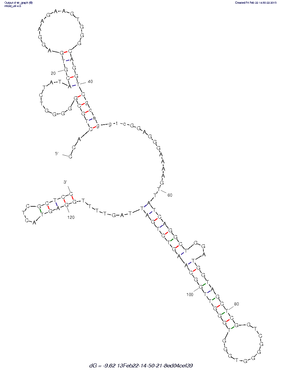 ADCC Bi-specific Aptamer (bsA17)