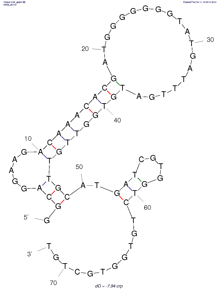 C-Reactive Protein (CRP)