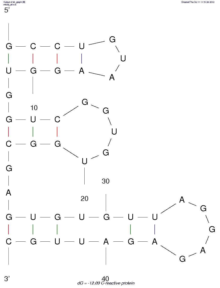 C-Reactive Protein Monomer