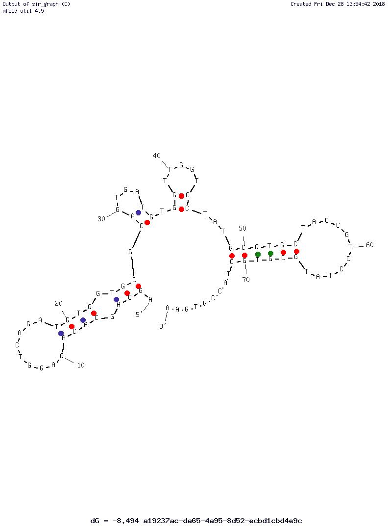 Carbonic Anhydrase IX Aptamer