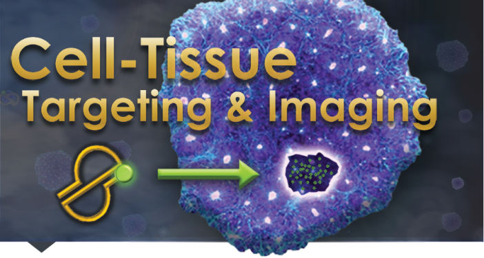 Cell-Tissue Targeting & Imaging