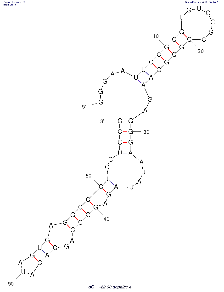 Dopamine (dopa2/c.4)