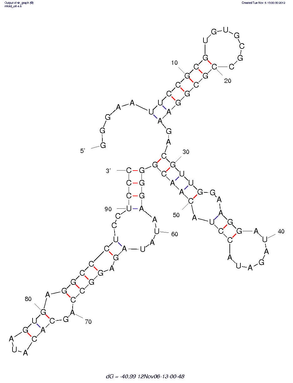 Dopamine (dopa2/c.1)