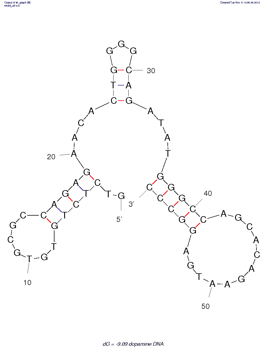 Dopamine (DNA version of dopa1.30/c.30)