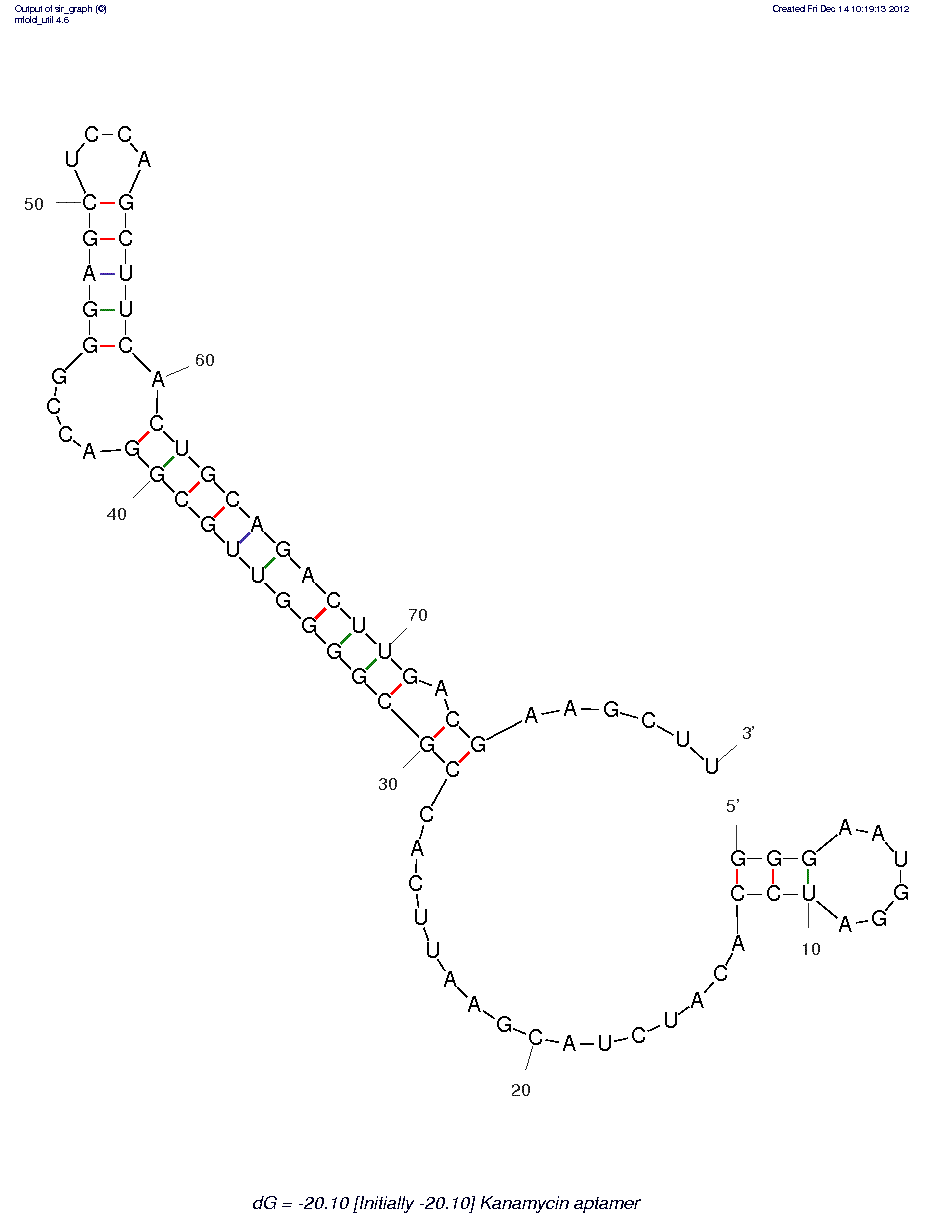 Kanamycin A (sla 16)