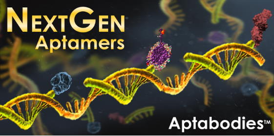 Aptagen is making the next generation of aptamers called aptabodies, the future of antibodies.