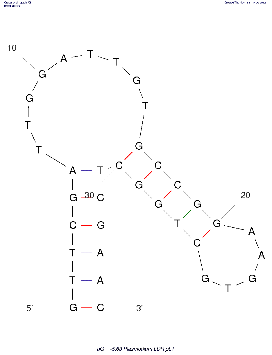 Plasmodium falciparum lactate dehydrogenase  (pL1)