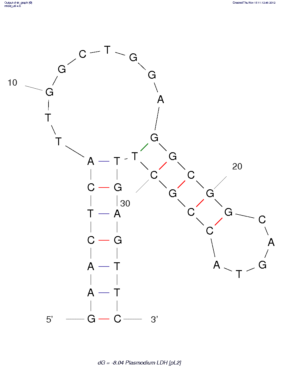 Plasmodium falciparum lactate dehydrogenase  (pL2)