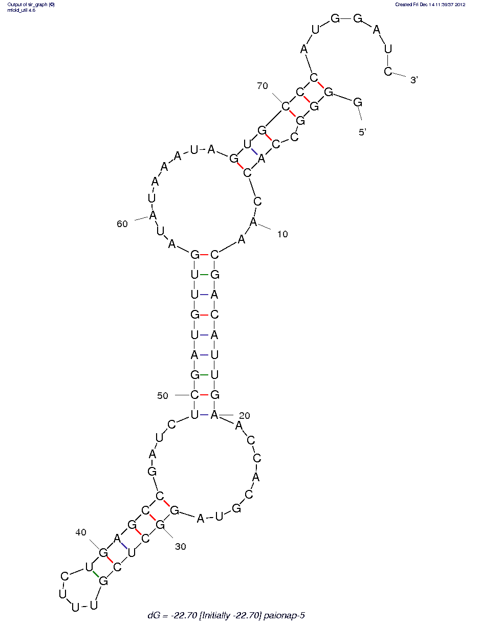 Plasminogen Activator Inhibitor-1 (paionap-5)