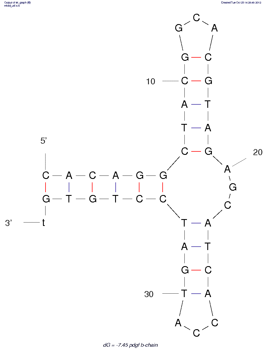 Platelet-Derived Growth Factor (PDGF) B-chain (36t)