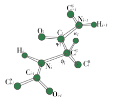 Tenascin-C (peptide #1)