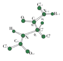 Human Transferrin Receptor (T7)