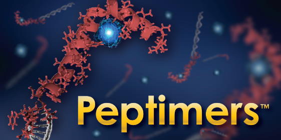 Peptimers are able to bind to targets like aptamers and oligos.