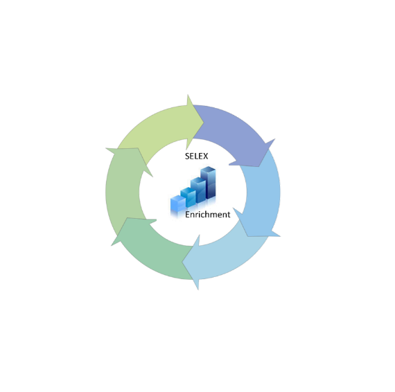 SOW-Phase-Ib-graphic-aml-gtc090226