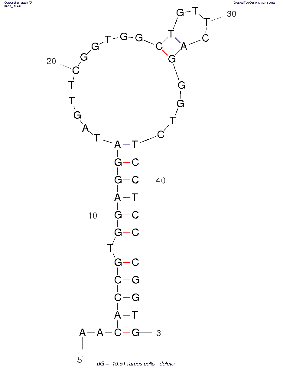 Ramos Cells (TD05)