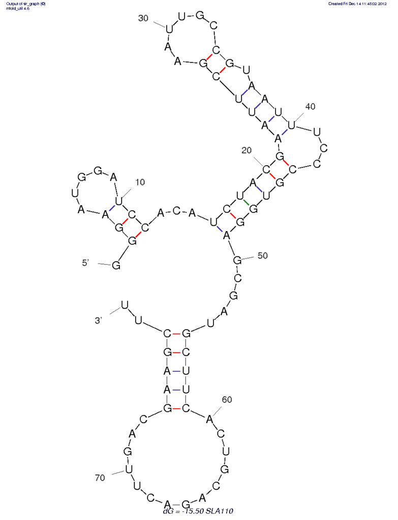 Kanamycin A sla 110 kanamycin a sla 110