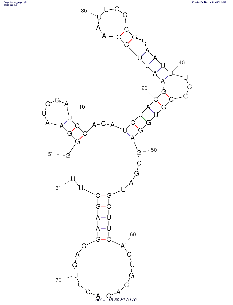 Kanamycin A (sla 110)