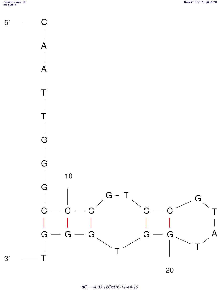 VEGF (SL2-B aptamer)